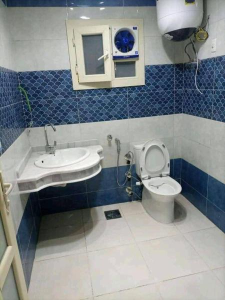 الاسكندريهの写真5