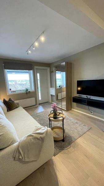 A la foto es mostra l'objecte Modern studio apartment near cabelcar, sherpa stairs and the mountain situat a la ciutat de Hjorten.