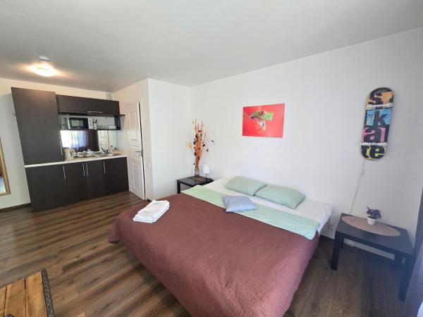 Z14 River studio apartment, Klaipėda