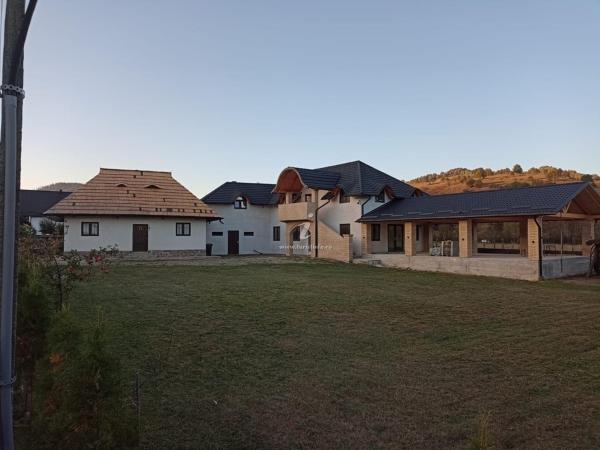 Casa Delia - Frasin