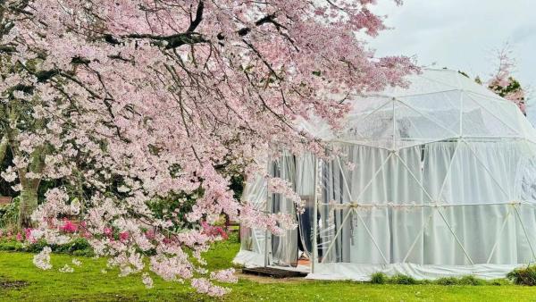 A la foto es mostra l'objecte Flowerhaven - glamping dome situat a la ciutat de Hamilton.