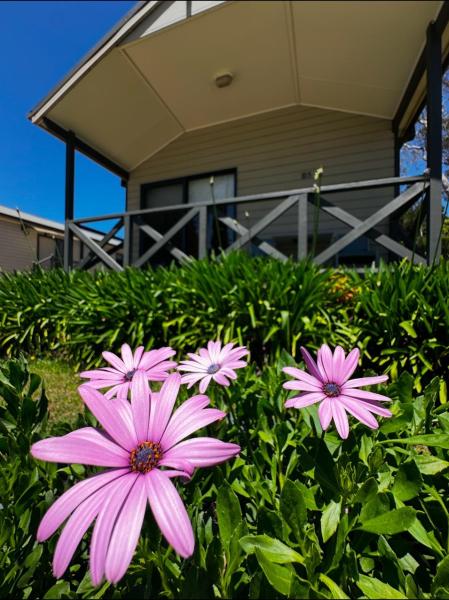 Auf dem Foto ist das Objekt Eaglehawk Park Canberra in der Stadt Sutton zu sehen.