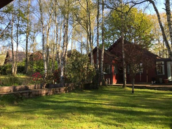 Billede 3: Pine Chalet