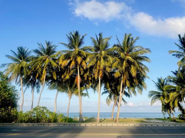 På bilden syns objektet Calm Beach Inn som ligger i staden Laamu.