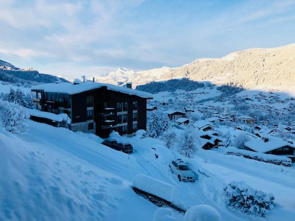 Zdjęcie 8: Superbe duplex with Hammam-Spa in Megève