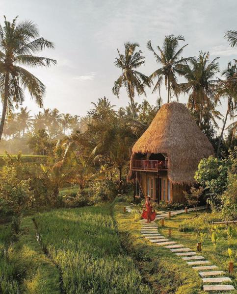 A la foto es mostra l'objecte DD Bamboo Lodge situat a la ciutat de Gianyar.