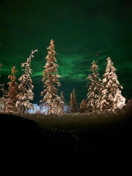 A la foto es mostra l'objecte Lights of Lapland Resort situat a la ciutat de Posio.