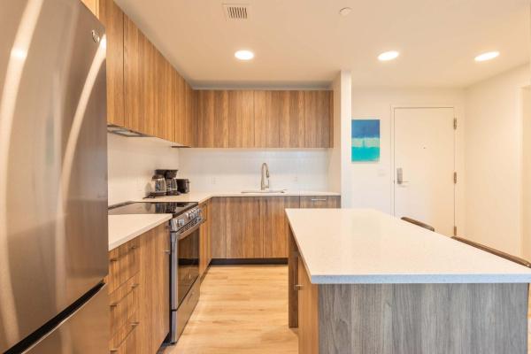 Luxury Apt With Sky Terrace - Boston, MA