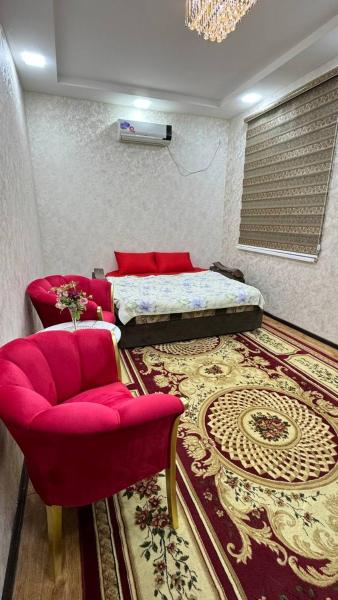 1 room apartment for rent in a new building