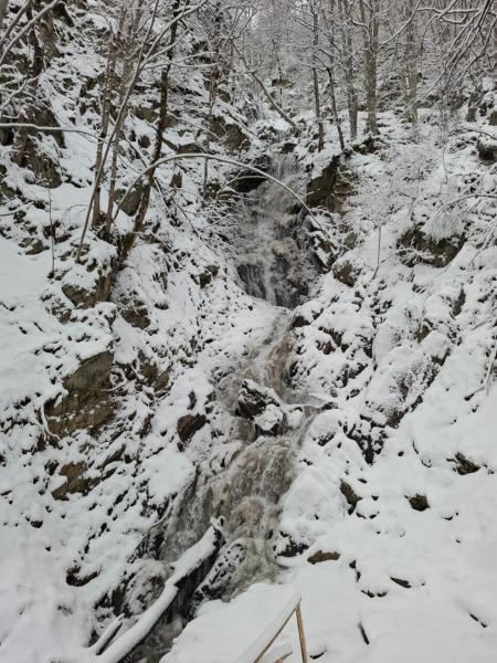 写真にはMramor市にあるKopaonik Fokaが写っています。
