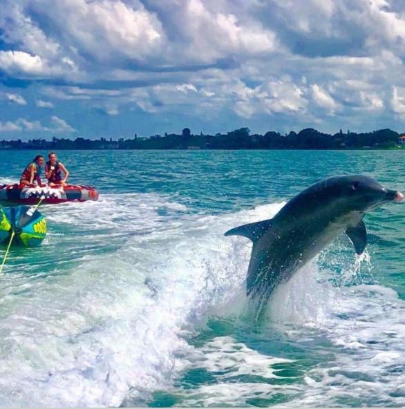 Catch Of The Day At Harbor Towers On Siesta Key - Siesta Key, FL