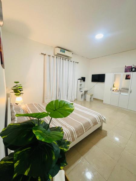 NAZ Properties, Abu Dabi