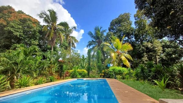 Cycad Palm Diani, Diani Beach