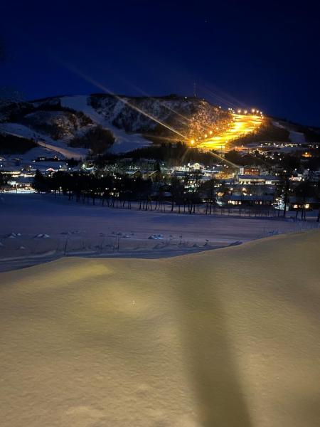 A la foto es mostra l'objecte UNIQUE, Central Apartment at Geilo situat a la ciutat de Hol.