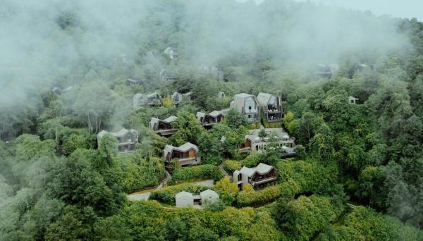 Kavya Himalayas