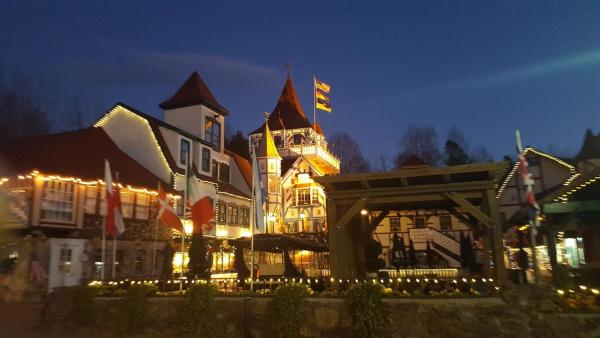 På billedet ses objektet Lionheart Inn beliggende i byen Nacoochee.