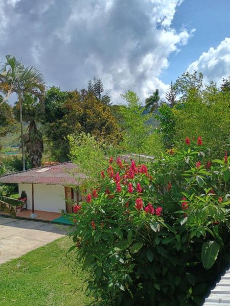 På billedet ses objektet Ecopolis hospedajes casa de campo tradicional beliggende i byen Dagua.