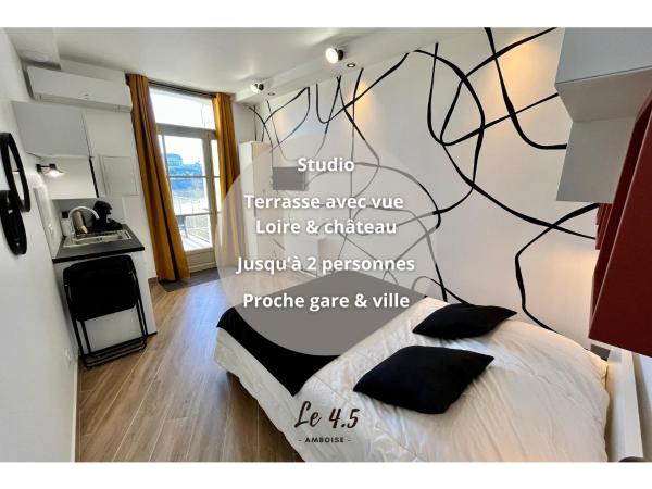 A la foto es mostra l'objecte Studio climatisé face Loire et château le 4-5 situat a la ciutat de Amboise.