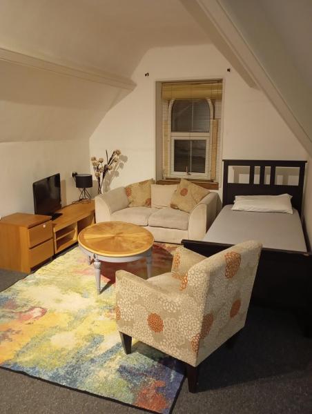 Billede 7: Loft studio Singleton
