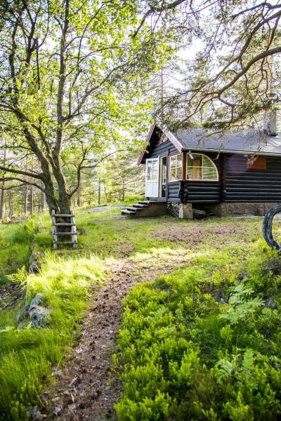 Kuvassa näkyy kohde Log Cabin In The Heart Of Drammensmarka, joka sijaitsee kaupungissa Drammen.