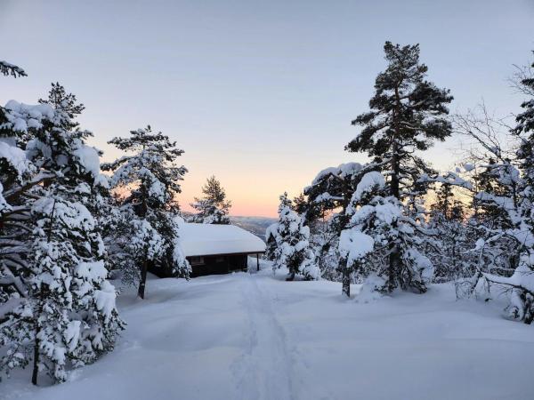 照片显示了位于Lona市的Cozy Private Holiday Home On Lifjell物件。