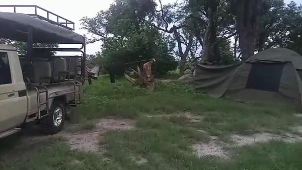 På billedet ses objektet Savuti Mobile Camping Safaris beliggende i byen Kasane.