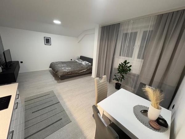 Nella foto è visibile l'oggetto Fenix Apartman III situato nella città di Zaječar.