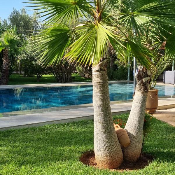 En la foto se muestra el objeto Riad les deux citronniers ubicado en la ciudad de Marrakech.