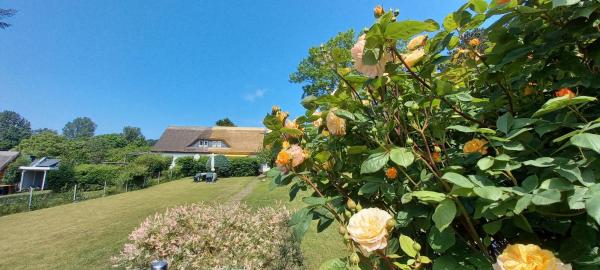 På billedet ses objektet Ferienwohnungen Albrecht beliggende i byen Kloster.