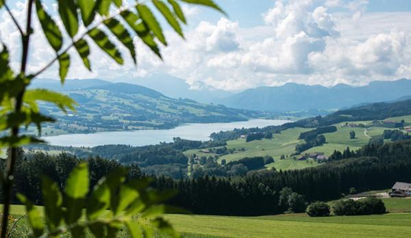 The photo shows the CK Apartment located in the city of Plain.