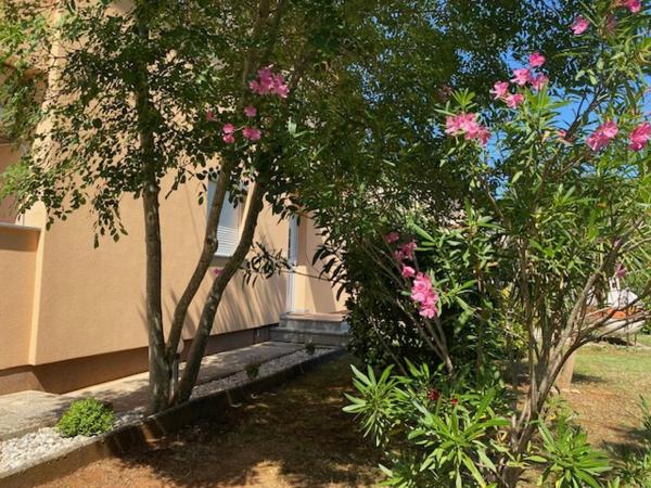 A la foto es mostra l'objecte Apartments Katja situat a la ciutat de Štinjan.