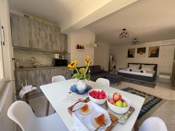 Travellers Guesthouse - District de Gjirokastër