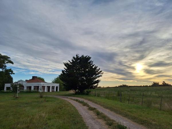 Na zdjęciu widoczny jest obiekt San Ignacio cattle farm Magdalena Buenos Aires położony w mieście Estación Ignacio Correas.