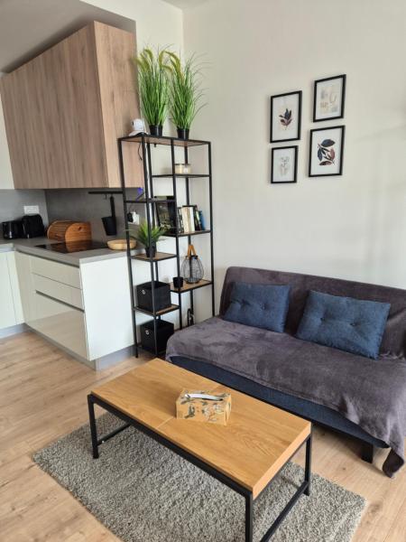 Apartmán Danadrin Family Evergreen Tále - Brezno