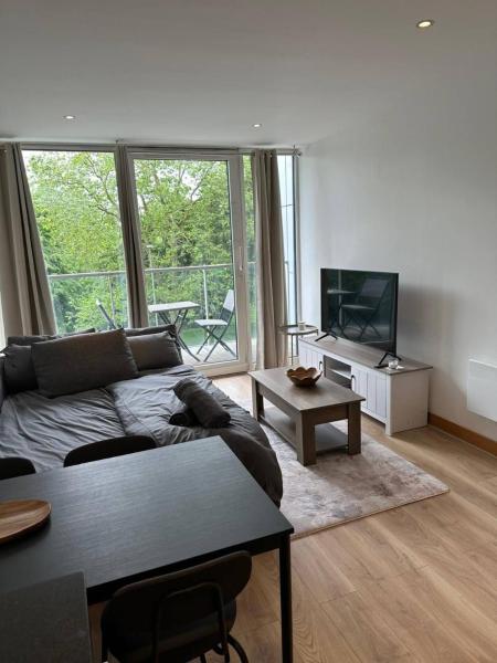 Modern Chelsea Bridge Apartment - Battersea Park View, London