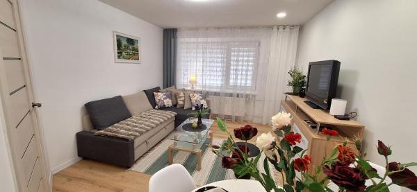 ŠIauliai Central Vytauto Apartment - Lithuania