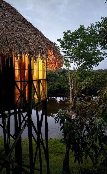 På bilden syns objektet Amazon Tupana Jungle Lodge som ligger i staden Tupana.