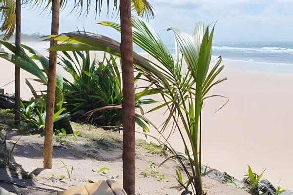 A la foto es mostra l'objecte Licuri Praia de Algodões situat a la ciutat de Marau.
