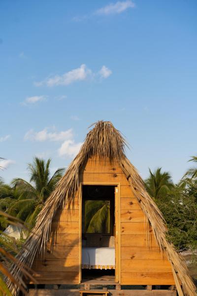 The photo shows the Nattivo Chacahua located in the city of Guayabas.