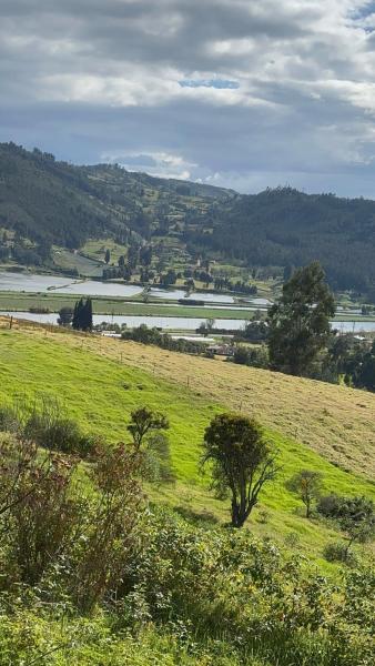 A la foto es mostra l'objecte El Refugio de Paipa Lugar de Descanso y Tranquilidad situat a la ciutat de Paipa.