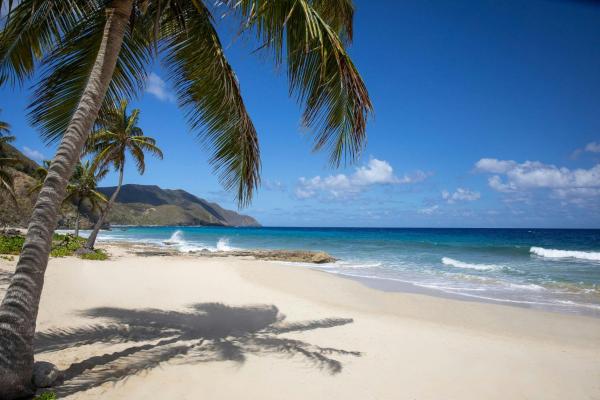 Na zdjęciu widoczny jest obiekt Carambola Beach Resort St. Croix, US Virgin Islands położony w mieście Frederiksted.