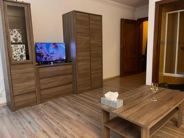 Na zdjęciu widoczny jest obiekt Studio w centrum miasta położony w mieście Dobrocin.