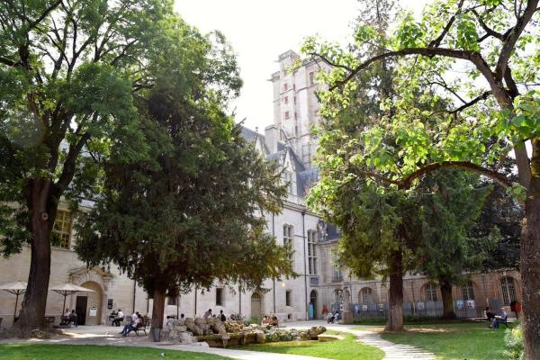 Bilde 9: Studio 12, Dijon, near train station