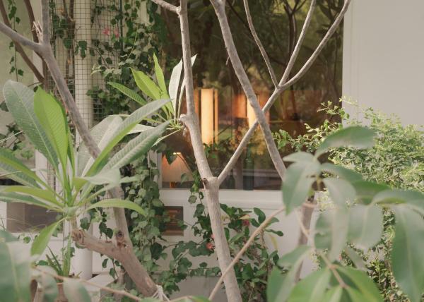 Bilde 7: PushkarOrganic - Lux farm resort with pool