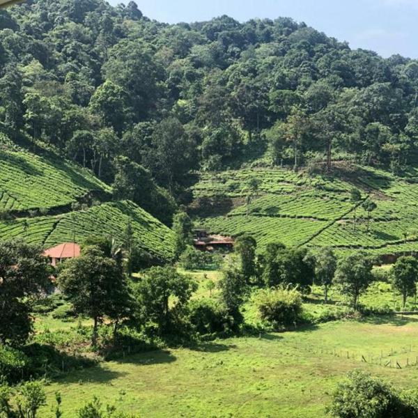 Nella foto è visibile l'oggetto Janiro Tea Trees Villas situato nella città di Vythiri.