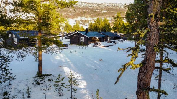 En la foto se muestra el objeto MIDGARD LODGE - Pre-Heated with Ready Beds at Bjorli ubicado en la ciudad de Bjorli.