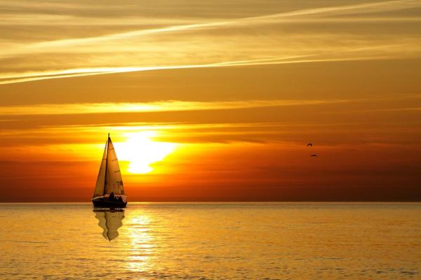 Foto 3: Commodore`s 203 - Gone Sailing 203