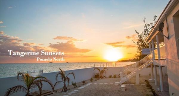 写真にはAdelaide市にあるTangerine Sunsets Pomelo Northが写っています。