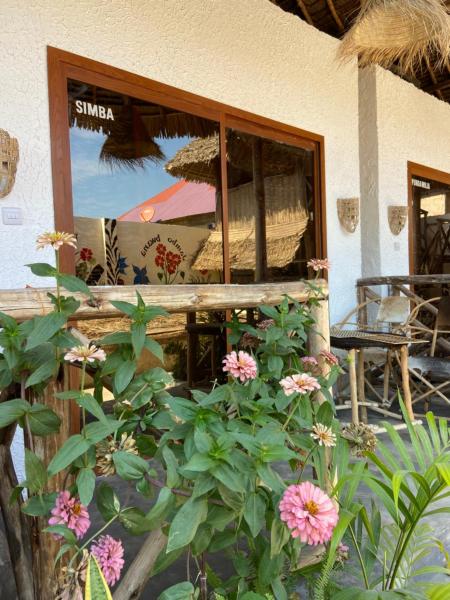 Nella foto è visibile l'oggetto Bougainvillea nungwi zanzibar situato nella città di Nungwi.
