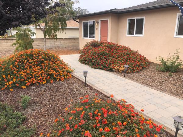 A la foto es mostra l'objecte Butterfly Preserve & Sand Dunes STR49 situat a la ciutat de Grover Beach.